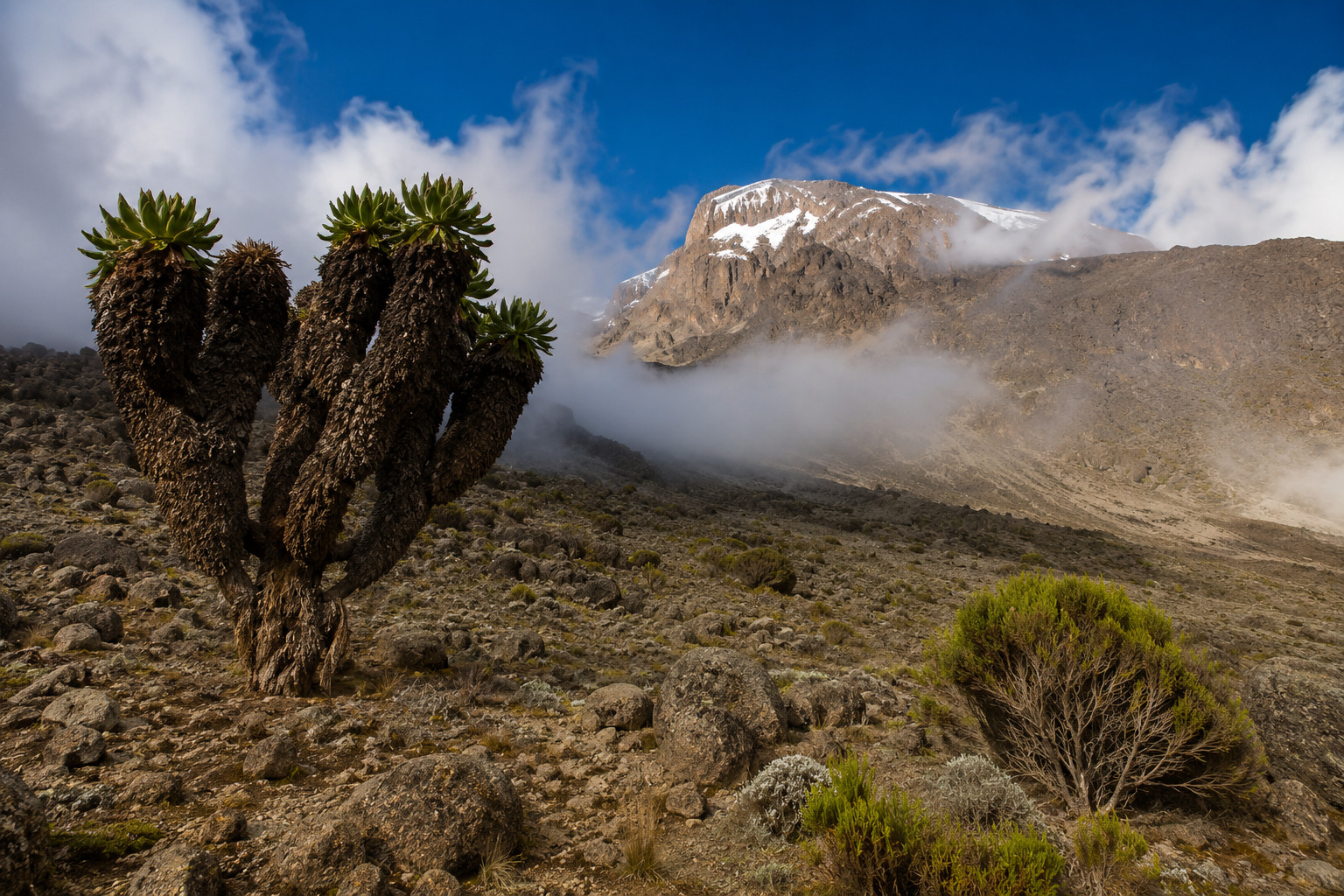 Zona Alpina